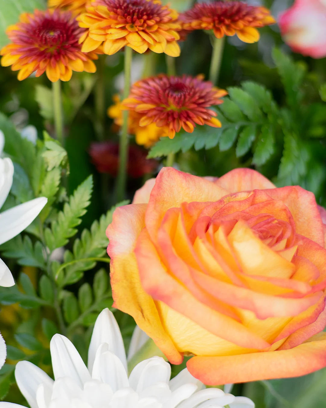 Cookie policy information for Flowers El Ranchito website users shopping for floral arrangements and local delivery services