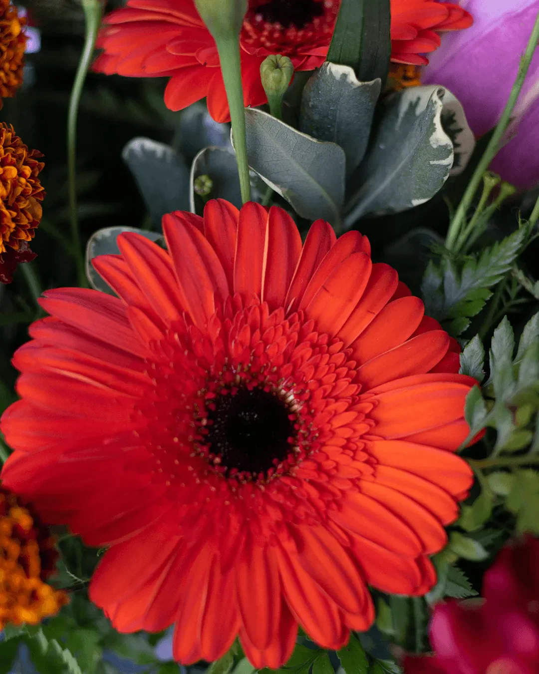 Flowers El Ranchito terms of service page with local floral delivery and online order policies for customers in Mission Hills and San Fernando Valley